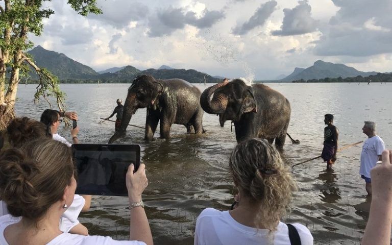 Viaggi dell’Elefante punta su un maggiore rispetto degli animali